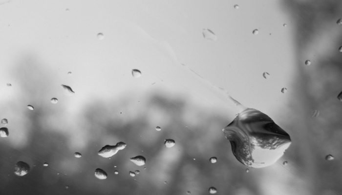 rain-1372184_1280.jpg rain-1372184_1280.jpg