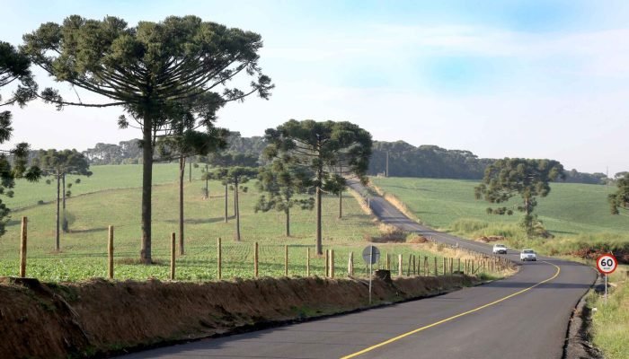 rodovia-parana-1536×1024.jpg rodovia-parana-1536x1024.jpg