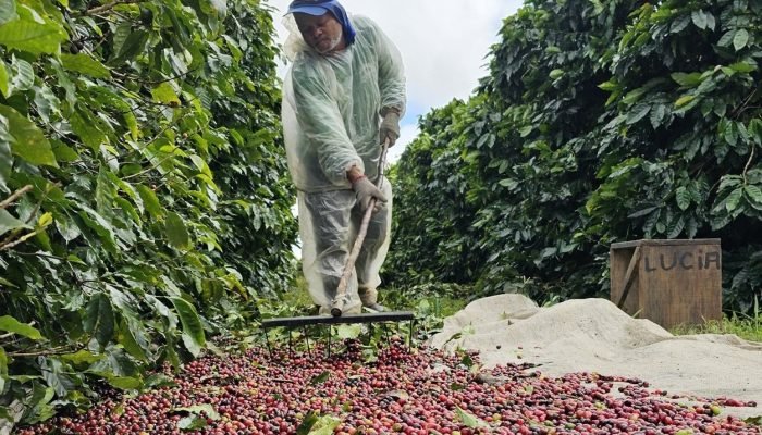 sI8TsHvE-remineralizador-cafe-especial-foto-arquivo-vulcano-agrominerais-1-corte.jpg sI8TsHvE-remineralizador-cafe-especial-foto-arquivo-vulcano-agrominerais-1-corte.jpg
