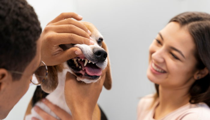 saude-oral-pet.png saude-oral-pet.png