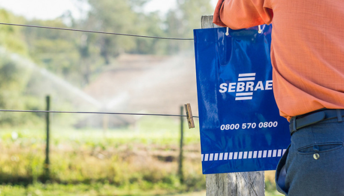 sebraeee.png sebraeee.png
