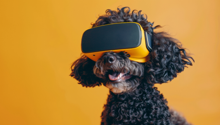 tecnologia-pet.png tecnologia-pet.png