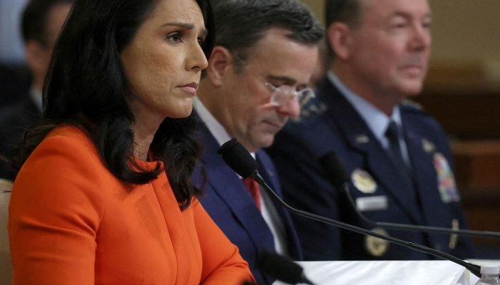 tulsi_gabbard01.jpg tulsi_gabbard01.jpg