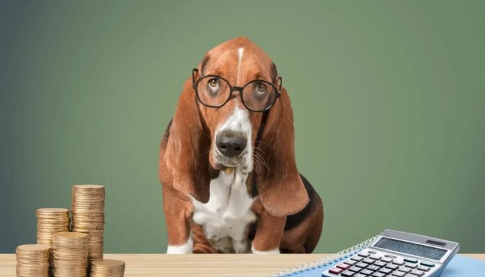 um-empresario-de-cachorro-de-oculos-com-uma-calculadora-e-um-fa-de-dolares-1-scaled.jpg