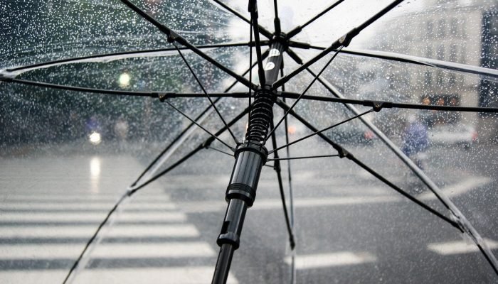 umbrella-4425160_1280.jpg