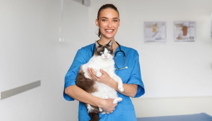 veterinaria-com-um-gato-no-colo-2-e1758302828750.jpg veterinaria-com-um-gato-no-colo-2-e1758302828750.jpg