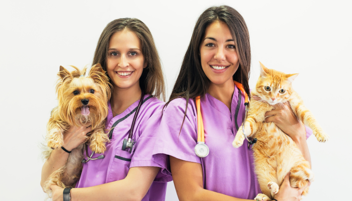 veterinarias.png veterinarias.png