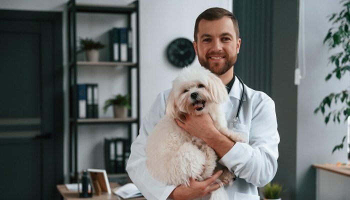 veterinario-com-maltes-no-colo-e1757423769859.jpg veterinario-com-maltes-no-colo-e1757423769859.jpg