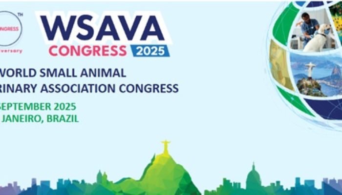 wsava-2025-1.jpg wsava-2025-1.jpg