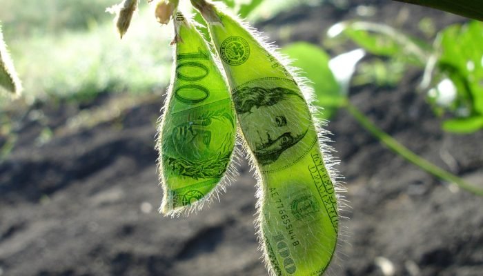 zfUbzdFa-soja-real-dolar-1536×1152.jpg zfUbzdFa-soja-real-dolar-1536x1152.jpg