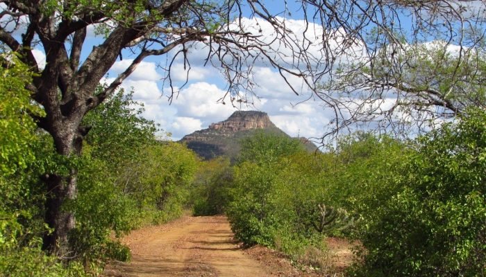 zona-rural.jpg zona-rural.jpg