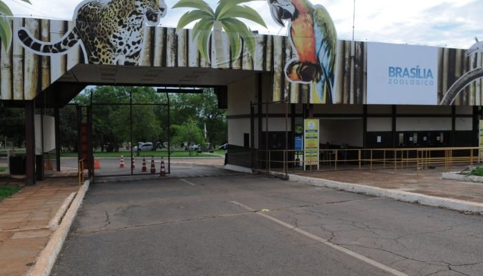 zoologico-brasilia-1536x1020.jpg
